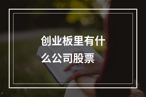 创业板里有什么公司股票