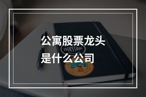 公寓股票龙头是什么公司