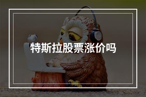 特斯拉股票涨价吗