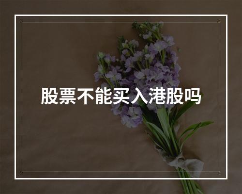 股票不能买入港股吗