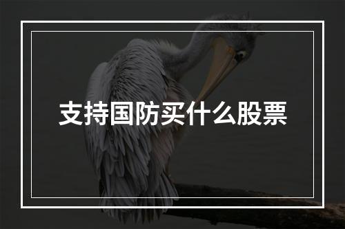 支持国防买什么股票