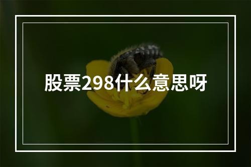 股票298什么意思呀