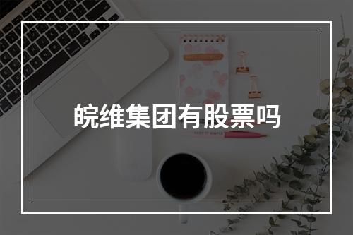 皖维集团有股票吗