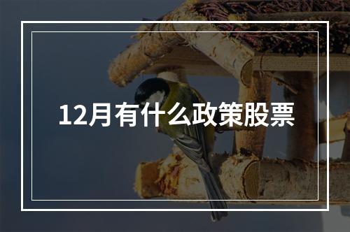 12月有什么政策股票