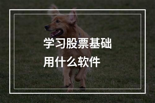 学习股票基础用什么软件