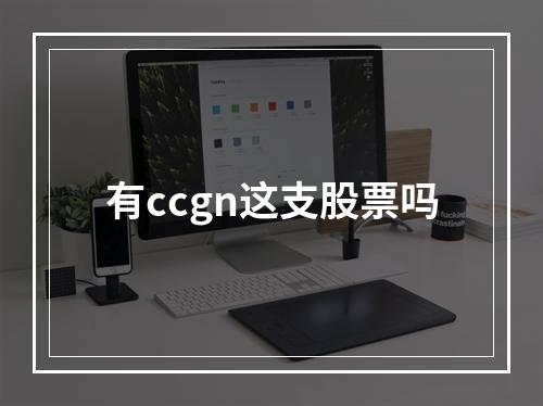 有ccgn这支股票吗