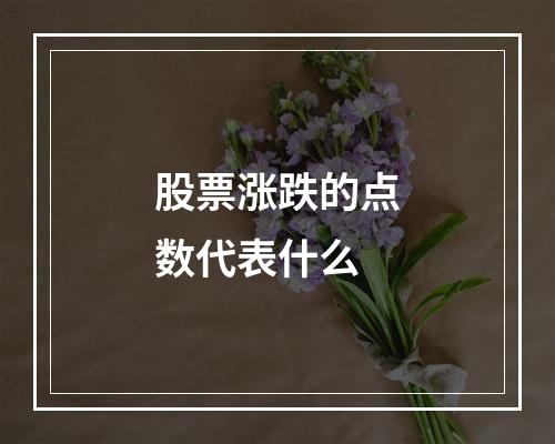 股票涨跌的点数代表什么