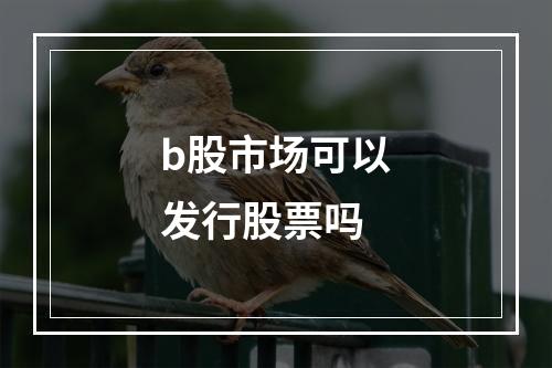 b股市场可以发行股票吗