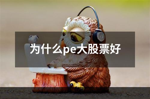 为什么pe大股票好