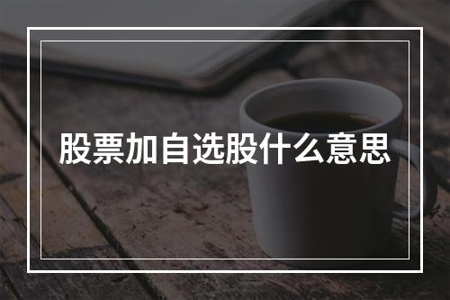 股票加自选股什么意思