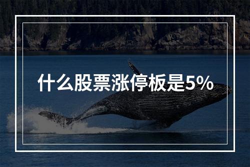 什么股票涨停板是5%