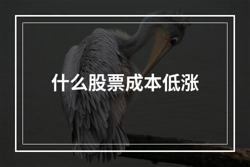 什么股票成本低涨