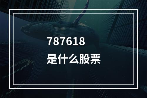 787618是什么股票