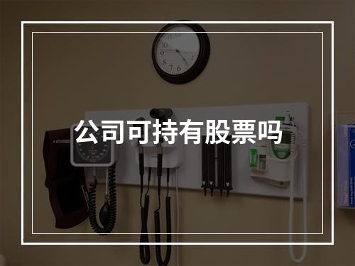 公司可持有股票吗