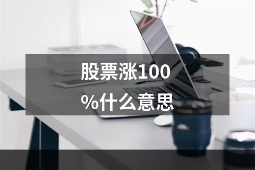 股票涨100%什么意思