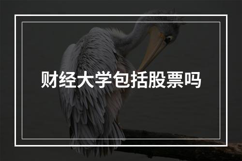 财经大学包括股票吗