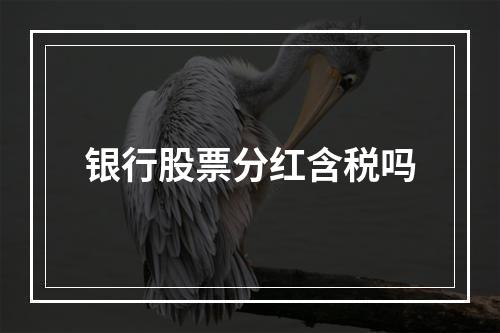 银行股票分红含税吗