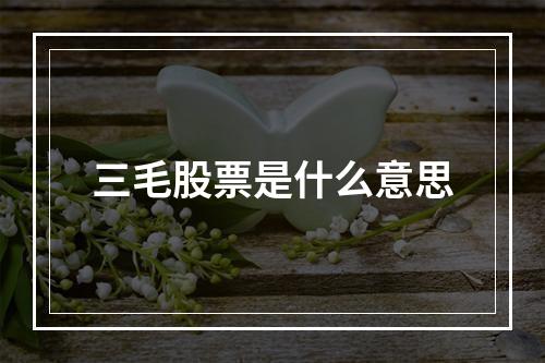 三毛股票是什么意思