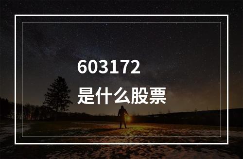 603172是什么股票