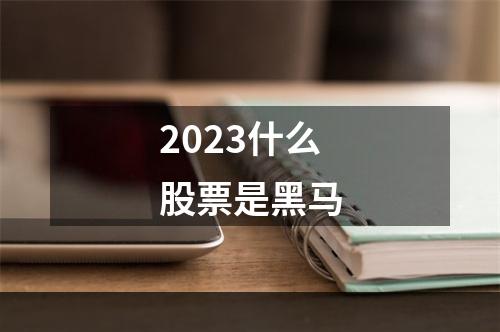 2023什么股票是黑马