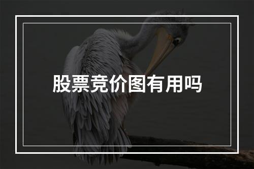 股票竞价图有用吗