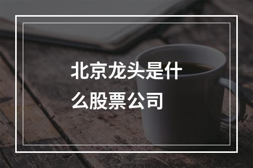 北京龙头是什么股票公司