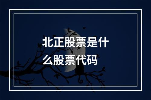 北正股票是什么股票代码