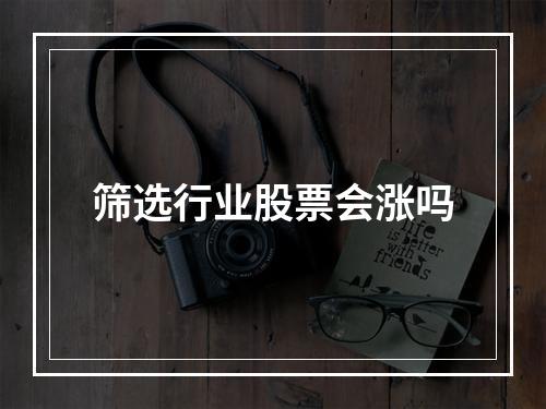 筛选行业股票会涨吗