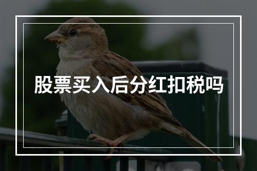 股票买入后分红扣税吗