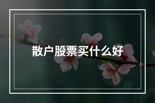 散户股票买什么好