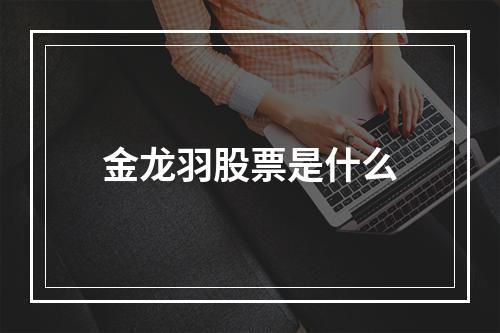 金龙羽股票是什么